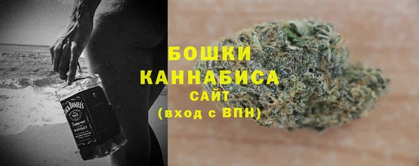 молекула духа Лагань