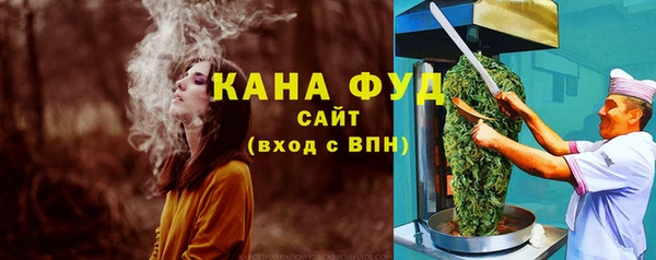 молекула духа Лагань