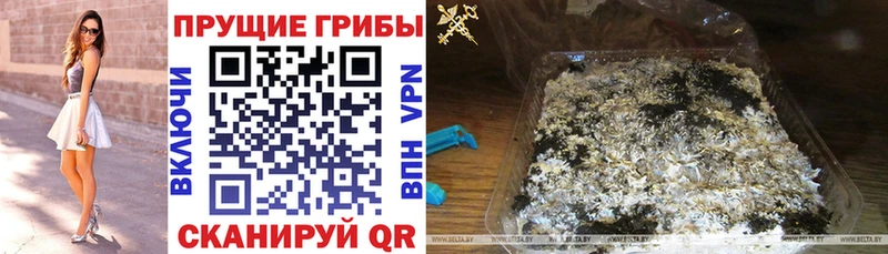 Купить закладки  Серафимович  Псилоцибиновые грибы мухоморы 